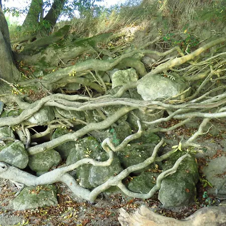 Ferienhaus Gite L'etoile Du Berger *